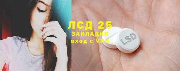 ECSTASY Пересвет