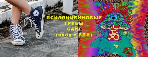 apvp Арсеньев
