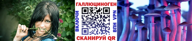 Псилоцибиновые грибы Magic Shrooms  купить наркотик  Балей 